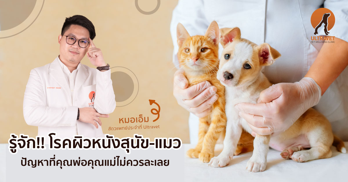 โรคผิวหนังสุนัข โรคผิวหนังแมว