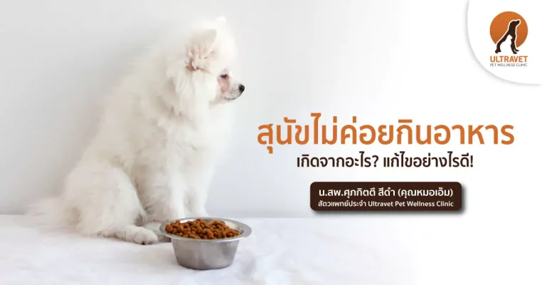 สุนัขไม่ค่อยกินอาหาร