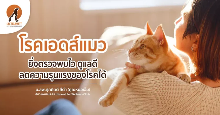 เอดส์แมว